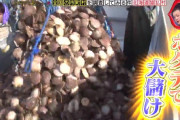 【画像】ホタテ漁師「マツコの番組で面白おかしく取り上げられたせい！！！」→結果・・・・・