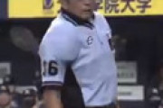 【動画】 眞鍋主審、明らかな誤審？を選手に野次られ激怒　球場騒然