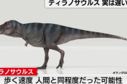 ティラノサウルスが歩く速度、俺らと変わらないことが発覚