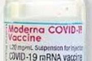 ワイ勤め会社、モデルナ製で接種することを決定ｗｗｗ