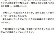 【元AKB48】小嶋陽菜、本日29日のイベント中止を発表