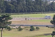 新潟最終レースでレースに関係ない馬が放馬する珍事wwwww