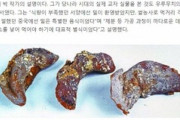 韓国人「餃子の起源は韓国」