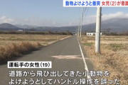 【福島】小動物をよけようと…電柱に衝突　2歳女児が意識不明