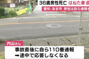 男性が乗用車2台に相次いではねられ死亡　はねられて110番、通話中に2台目の車にはねられたか　ひき逃げ容疑の２人逮捕