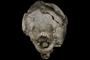 人間の子供の頭蓋骨で作られたヘルメットをかぶった状態で埋葬されていた古代の幼児（エクアドル）