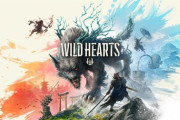 『ワイルドハーツ』発売7ヶ月でサポート終了…
