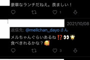【朗報】お世話人形メルちゃんの公式ツイッター、面白い