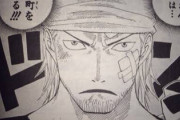【吉報】ONE PIECEで1番カッコいいキャラ、ついに決まる。（画像あり）