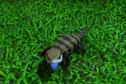 【FF14】ミニオン「水道トカゲ」のモデル元はアオジタトカゲ？舌がちゃんと青くて爬虫類好きの光の戦士が感動