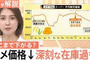 楽韓さん、本日の動向 - コメ価格絶賛下落中ですって
