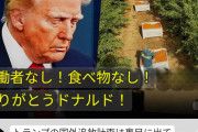 ドナルド・トランプおやびん、セルフ経済制裁に着手ｗｗｗ