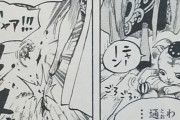 【ワンピース】正直ハンコック(31)ってヒロインとしてふさわしくないやんな？