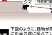 北海道猟友会「自治体に頼まれてもヒグマ駆除はもうしません」