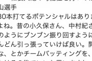 【悲報】阪神井上新打撃コーチ、ダウンスイング教徒と判明