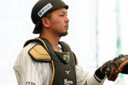【悲報】千葉ロッテマリーンズ田村龍弘さん