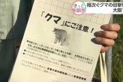 【大阪】高槻市でもクマ・・・