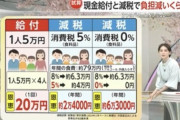 石破「やっぱり5万円あげない❤」←こいつの思惑