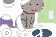 猫が悪さしてるのを穏便にやめさせる方法