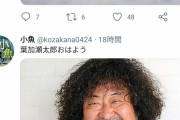 【画像】新人Vtuberさん、クソリプを我慢できずにブチ切れツイートしてしまうwww