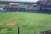 セパ各球団の球場別勝敗数www
