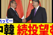 「石破さんじゃなければ…」27年ぶり議席逃した大阪自民が恨み節 独自路線で党本部と溝  [7/22]
