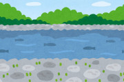 【画像】水路を通過する魚に課せられる4つの試練とはｗｗｗｗｗｗｗｗｗｗｗｗｗｗ