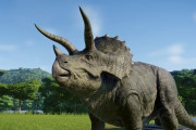 史上最大のトリケラトプス化石「ビッグ・ジョン」、8.7億円で落札する強者が現る！