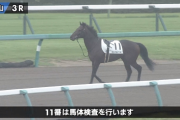 【中山３R新馬戦】インパルスベルン　放馬からの圧勝ｷﾀ━━━━(ﾟ∀ﾟ)━━━━!!