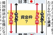 大丈夫、文ならなんとかしてくれる。知らんけど　〜　【経済】　スワップ終了で地獄に落とされた韓国…財閥は文在寅の無策に絶望､再開を熱望