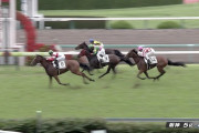 ドゥラメンテ産駒連続で新馬勝ちワロタwwwwwwwwwwwww
