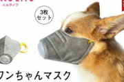 コロナ対策で販売された「犬用マスク」は絶対やめて！！マジで危険だと元専門家が警告