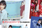 【乃木坂46】来年の乃木坂カレンダーがまだ来ないんだがおれだけ？年内無理？