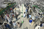 宣言解除後初の週末は桜の名所で人出増、上野公園を訪れた男性(72)「すごく混雑していて驚いた」
