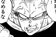 【ドラゴンボール】ナメック星人「地球を…舐めるなよ！！！！」