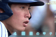 明徳出身で有名なプロ野球選手、岸潤一郎しかいない