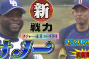 【爆笑】中日ドラゴンズ新外国人サノーの守備、下手すぎる