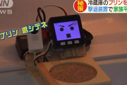 【画像】 冷蔵庫の中のプリンを守る画期的な装置が2年かけて開発される