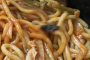 配達の食べ物の中からゴキブリが出てきて抗議…店主「ここまでする必要があるのか」＝韓国の反応