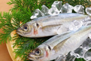 【悲報】水産庁「ギャオオオオオオオン！！！　何で国民は魚食べないの！」