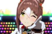 【ウマ娘】殿下はダートチャンミでも強いなぁ