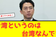 中国とドイツの関係悪化、台湾問題がEUを突き動かす　EUが台湾要人を相次ぎ受け入れ、中国の「レッドライン」踏み込む