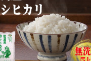 新潟県産コシヒカリの価格が急落！！ 備蓄米の効果が早くも出たか