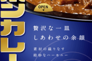 高級ボンカレー買ったけど値段ほどの美味しさが無い😭😭😭