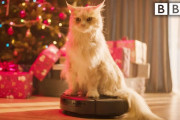 総選挙で疲れた国民に癒やしを！ 英BBCが9時間の大作ネコ動画「ルンバ猫」を生配信へwwwww