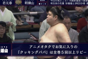 【画像】お相撲さんの趣味、中々ブッ飛んでてヤバいｗｗｗｗｗｗｗｗｗｗｗｗｗｗｗｗ