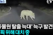 韓国の動物園で狼が「柵の下の土を掘って」脱走 → 動物園は40分間に渡って「独自捜索」 →  見つからず警察に届ける → 5日後、見つかるものの逃げられる……ぐだぐだが過ぎる