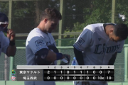ヤクルト西武の二軍戦、前代未聞な結果に終わる・・・