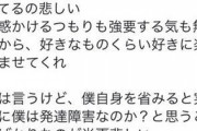 【悲報】カービィヲタクさん、遂に己が発達障害であることに気付いてしまう