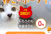 【悲報】月380円で猫を借りられるサブスク「ねこホーダイ」何故か炎上